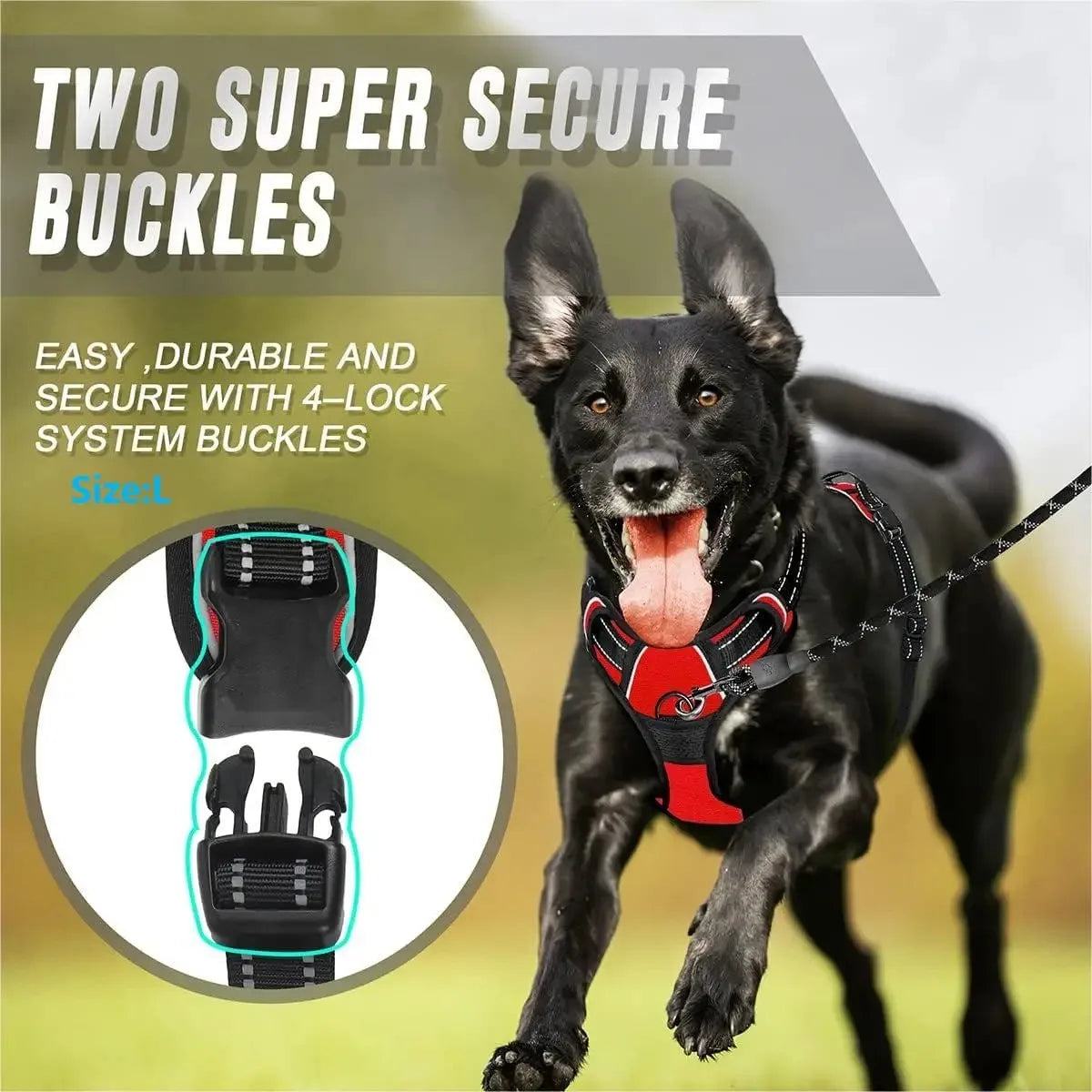 Hundehalsbänder, Geschirr, Große Westen, Leine, Tierhandlung, Alles Für Hunde, Leder, Welpenzubehör, Mittelgroßes Kleines Set