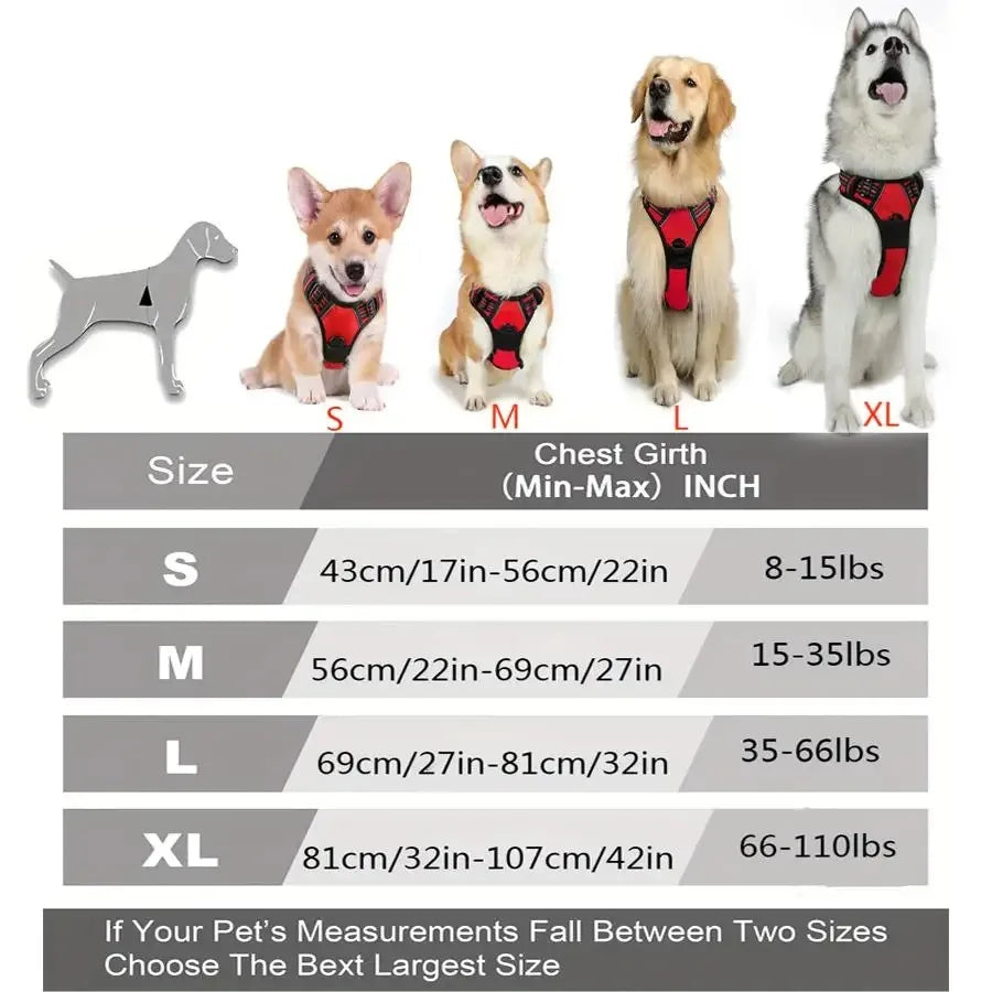 Hundehalsbänder, Geschirr, Große Westen, Leine, Tierhandlung, Alles Für Hunde, Leder, Welpenzubehör, Mittelgroßes Kleines Set