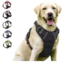 Hundehalsbänder, Geschirr, Große Westen, Leine, Tierhandlung, Alles Für Hunde, Leder, Welpenzubehör, Mittelgroßes Kleines Set