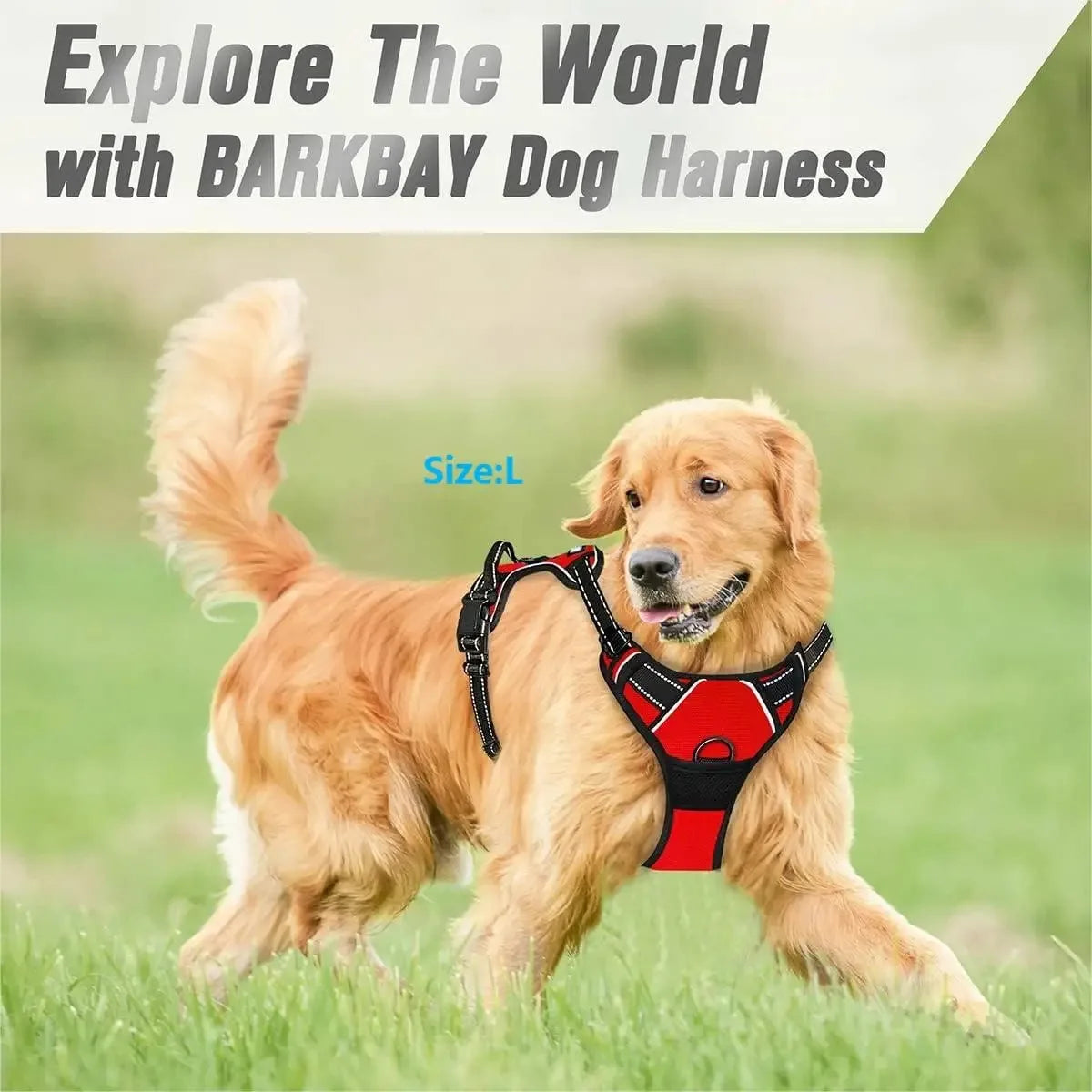 Hundehalsbänder, Geschirr, Große Westen, Leine, Tierhandlung, Alles Für Hunde, Leder, Welpenzubehör, Mittelgroßes Kleines Set