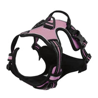 Hundehalsbänder, Geschirr, Große Westen, Leine, Tierhandlung, Alles Für Hunde, Leder, Welpenzubehör, Mittelgroßes Kleines Set