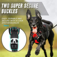 Hundehalsbänder, Geschirr, Große Westen, Leine, Tierhandlung, Alles Für Hunde, Leder, Welpenzubehör, Mittelgroßes Kleines Set