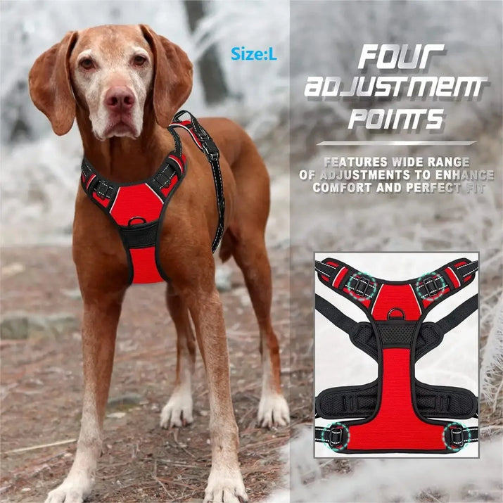 Hundehalsbänder, Geschirr, Große Westen, Leine, Tierhandlung, Alles Für Hunde, Leder, Welpenzubehör, Mittelgroßes Kleines Set