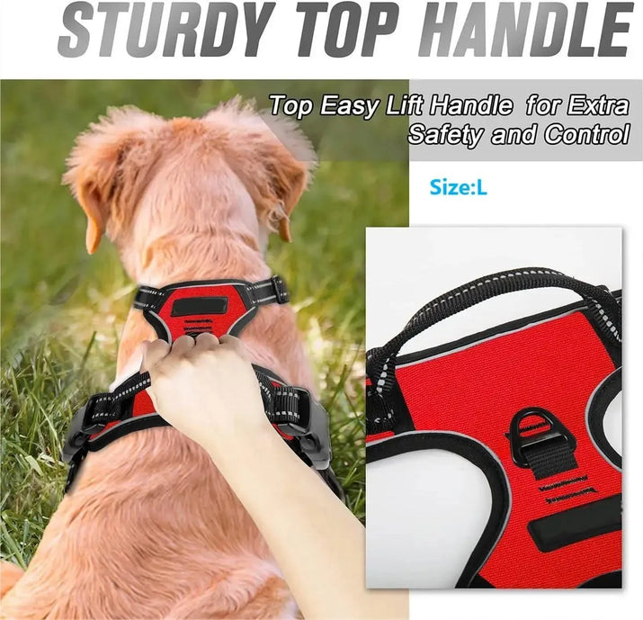 Hundehalsbänder, Geschirr, Große Westen, Leine, Tierhandlung, Alles Für Hunde, Leder, Welpenzubehör, Mittelgroßes Kleines Set
