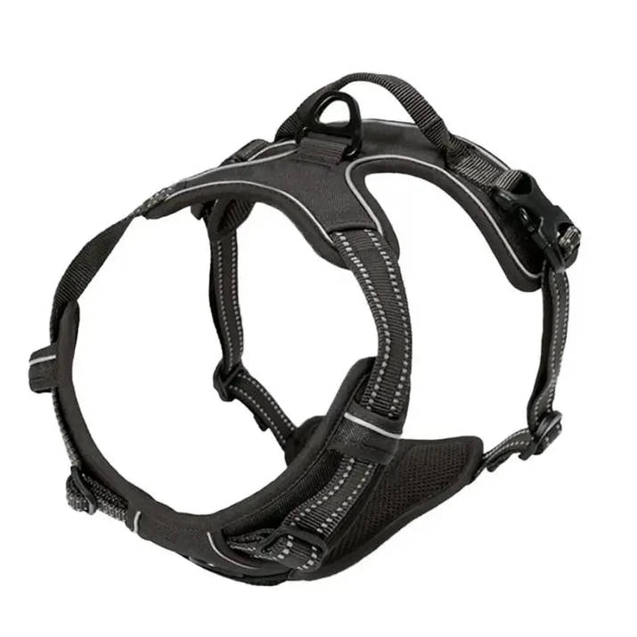 Hundehalsbänder, Geschirr, Große Westen, Leine, Tierhandlung, Alles Für Hunde, Leder, Welpenzubehör, Mittelgroßes Kleines Set