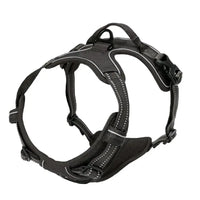 Hundehalsbänder, Geschirr, Große Westen, Leine, Tierhandlung, Alles Für Hunde, Leder, Welpenzubehör, Mittelgroßes Kleines Set